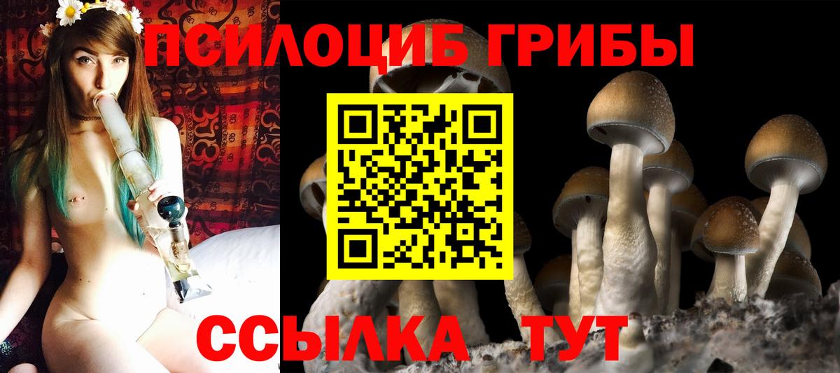 Псилоцибиновые грибы мицелий  Псилоцибиновые грибы Psilocybe  Жигулёвск  купить   Вход с VPN 